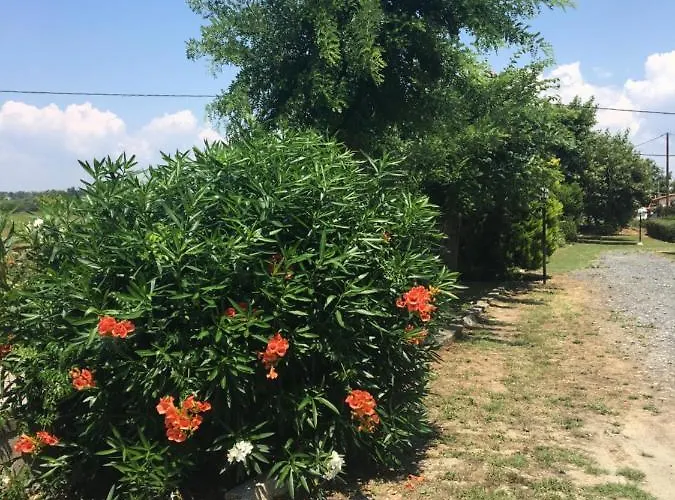 Apartament Lovely By The Sea.....